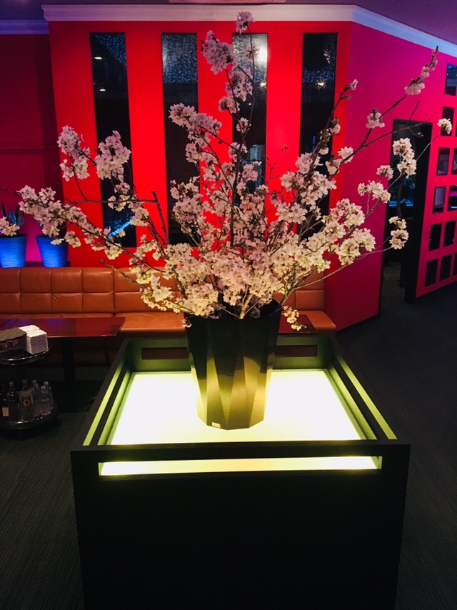 4月突入！！