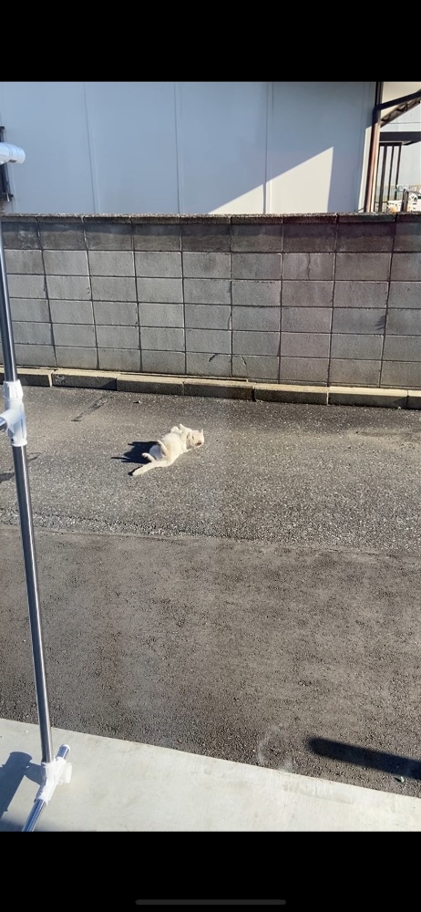 お休み♪